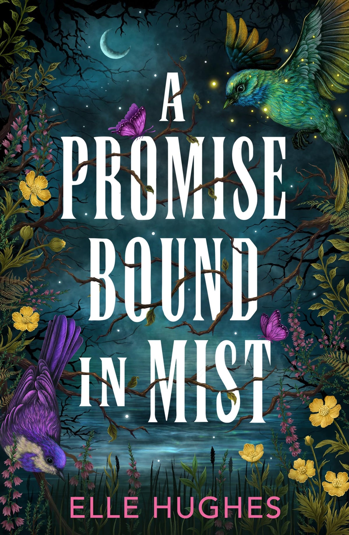 A Promise Bound In Mist by Elle Hughes