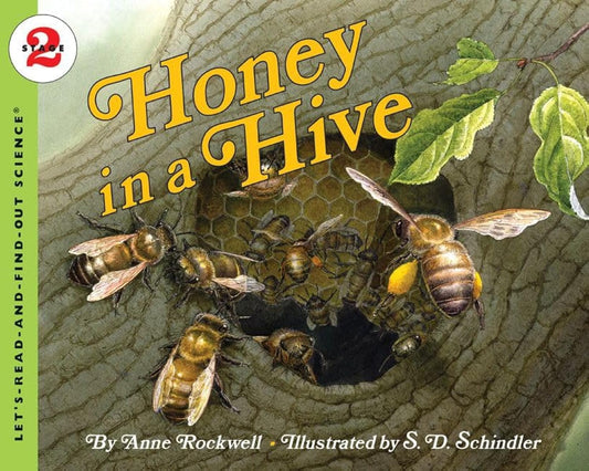 Honey in a Hive: A Nonfiction Picture Book About Honeybee Societies for Kids (Ages 4-8) by Anne Rockwell
