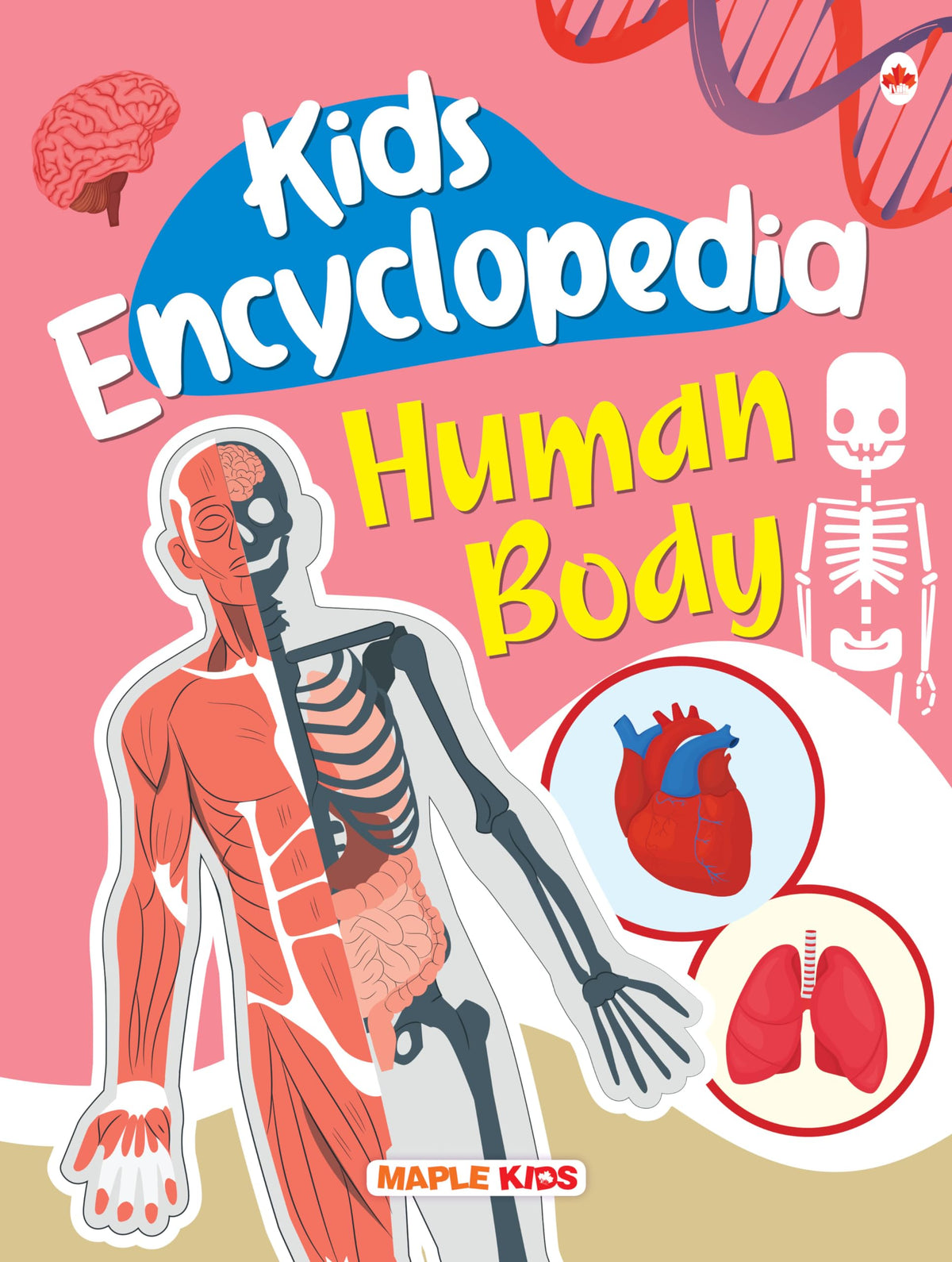 Kids Encyclopedia-Human Body by Maple Press In House