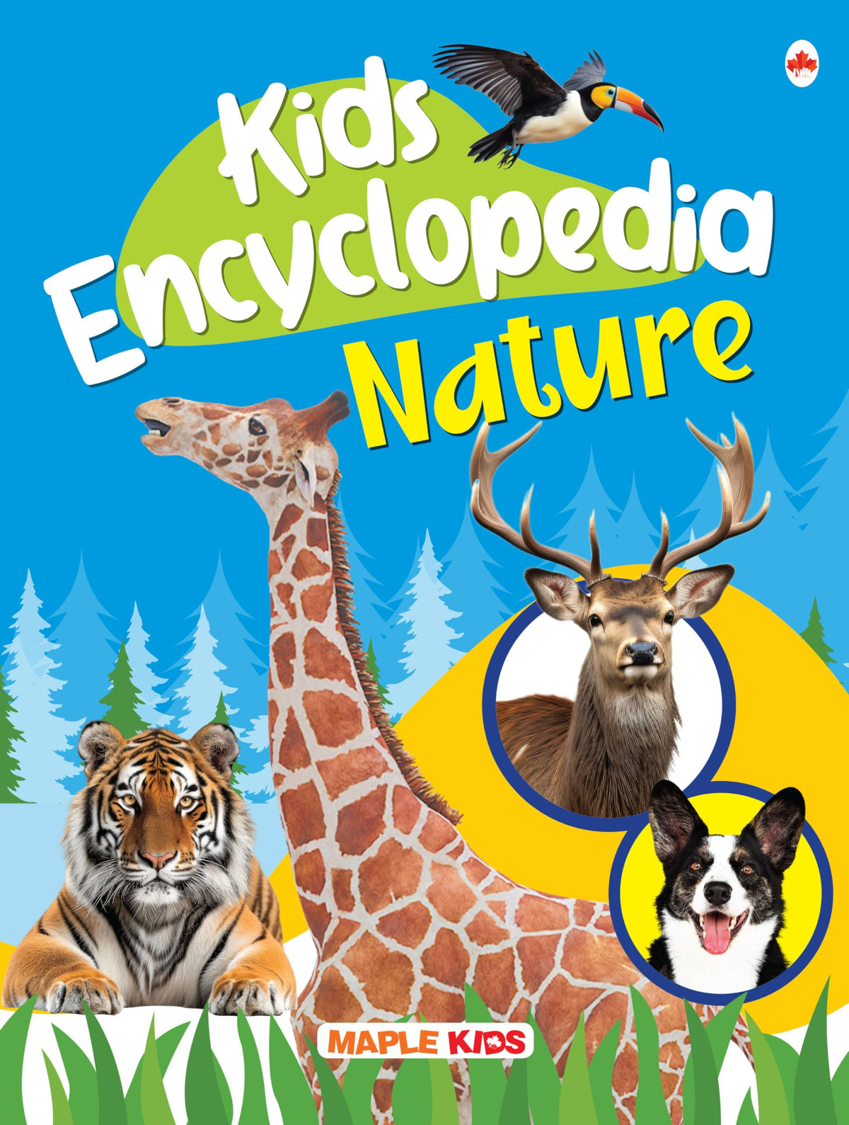 Kids Encyclopedia-Nature by Maple Press In House