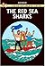 Red Sea Sharks