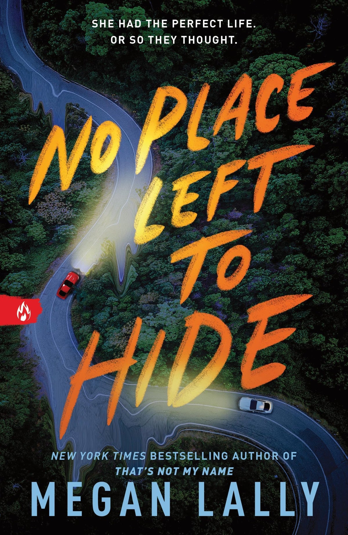 No Place Left to Hide by Megan Lally