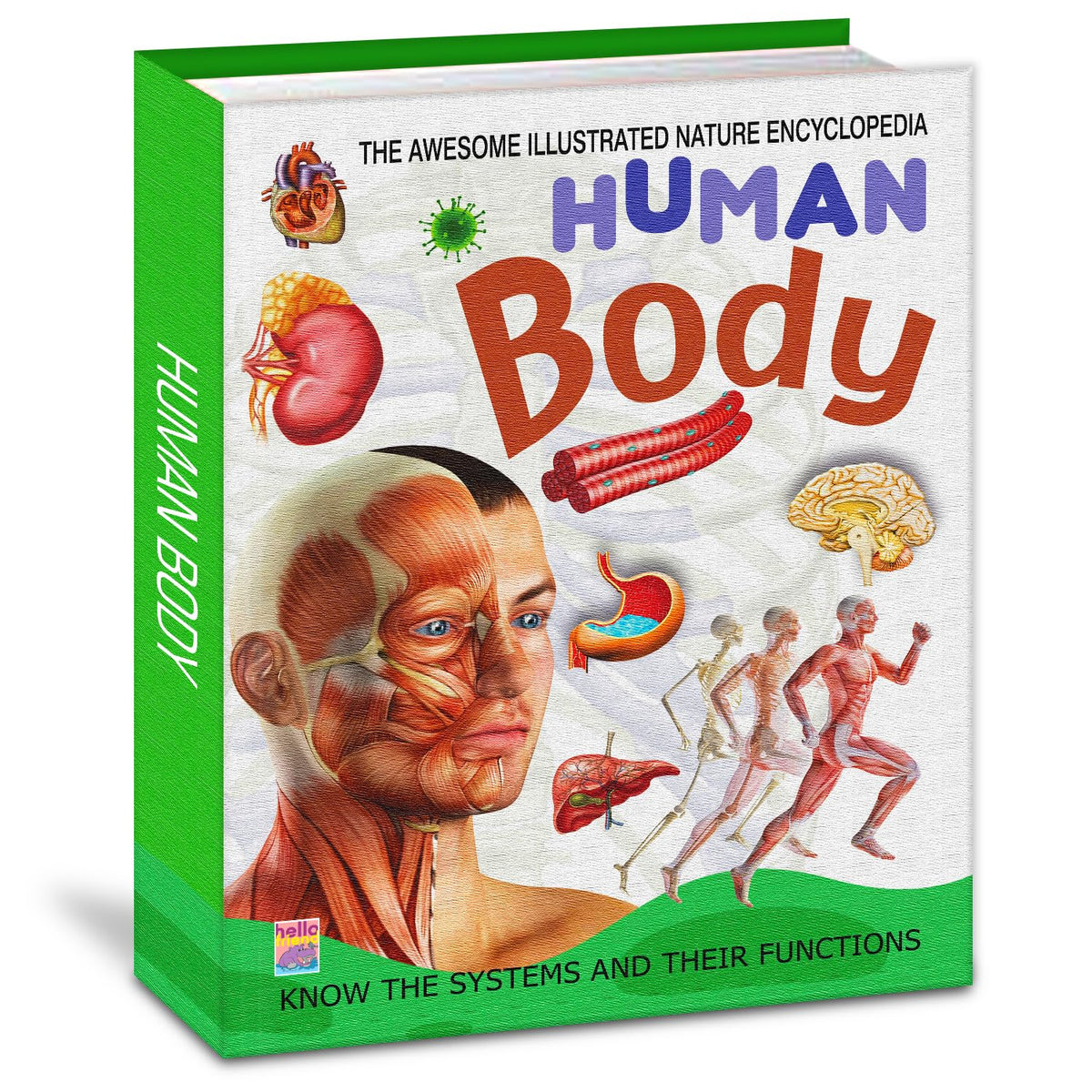 Huamn Body