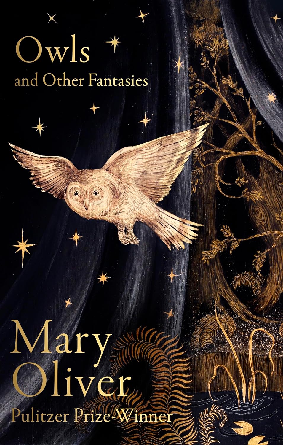 Owls and Other Fantasies by Mary Oliver