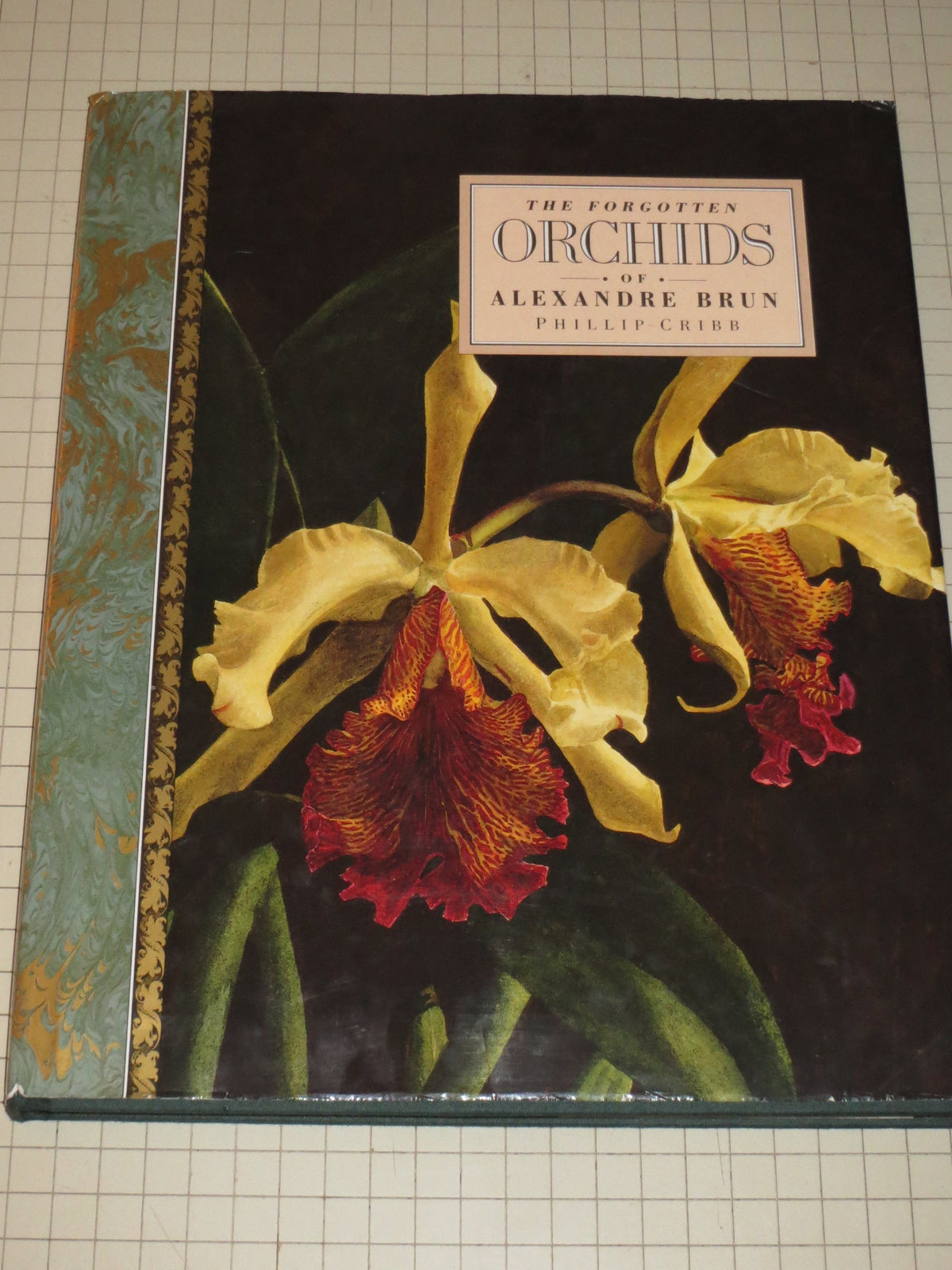 The Forgotten Orchids Of Alexandre Brun by Alexandre Brun