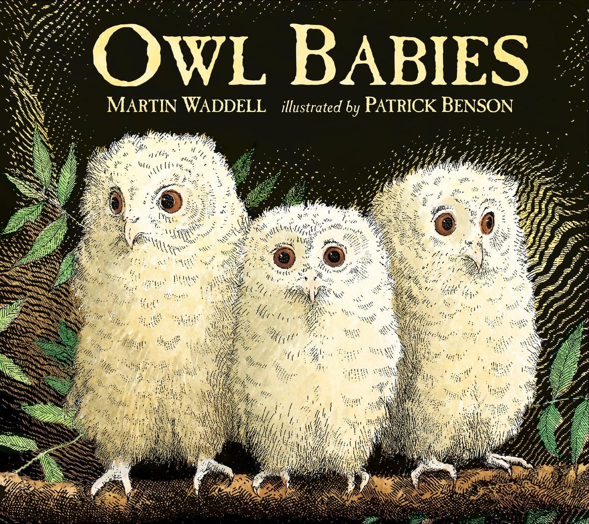 Owl Babies: 25th Anniversary edition by Martin Waddell