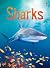 Sharks (Usborne Beginners)