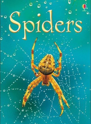 Spiders (Usborne Beginners) (Usborne Beginners) [Hardcover] [Jan 01, 2012] Rebecca Gilpin Rebecca Gilpin