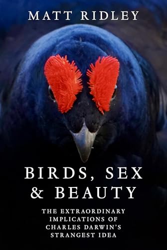 BIRDS, SEX AND BEAUTY