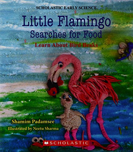 LITTLE FLAMINGO SEARCHES FOR FOOD: LEARN ABOUT BIRD BEAKS
