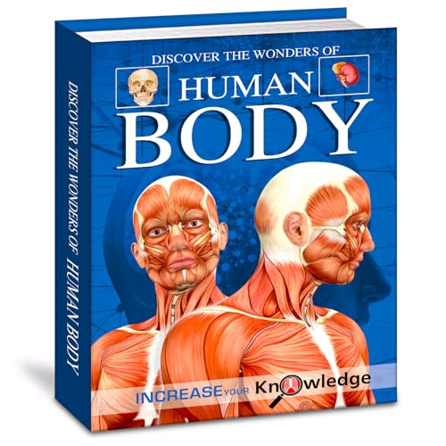 Discover The Wonders Of Human Body