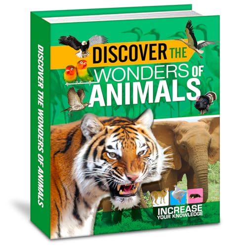 Discover The Wonders Of Animals