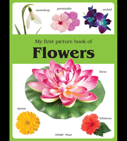 My first picture book of Flowers: Picture Books for Children