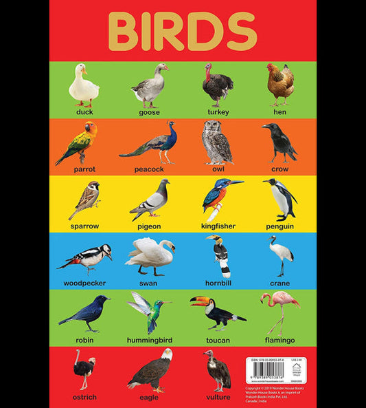 Birds Chart - Early Learning Educational Chart For Kids: Perfect For Homeschooling, Kindergarten and Nursery Students (11.5 Inches X 17.5 Inches)