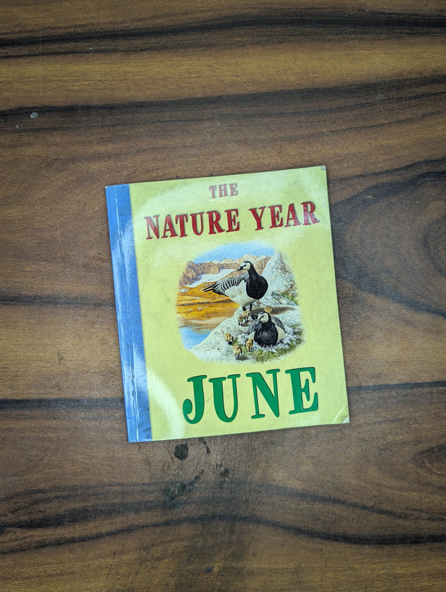 The Nature Year