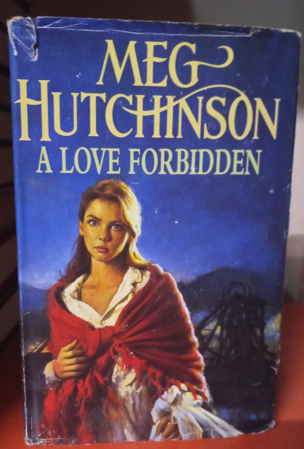 Preloved  A Love Forbidden by Meg Hutchinson