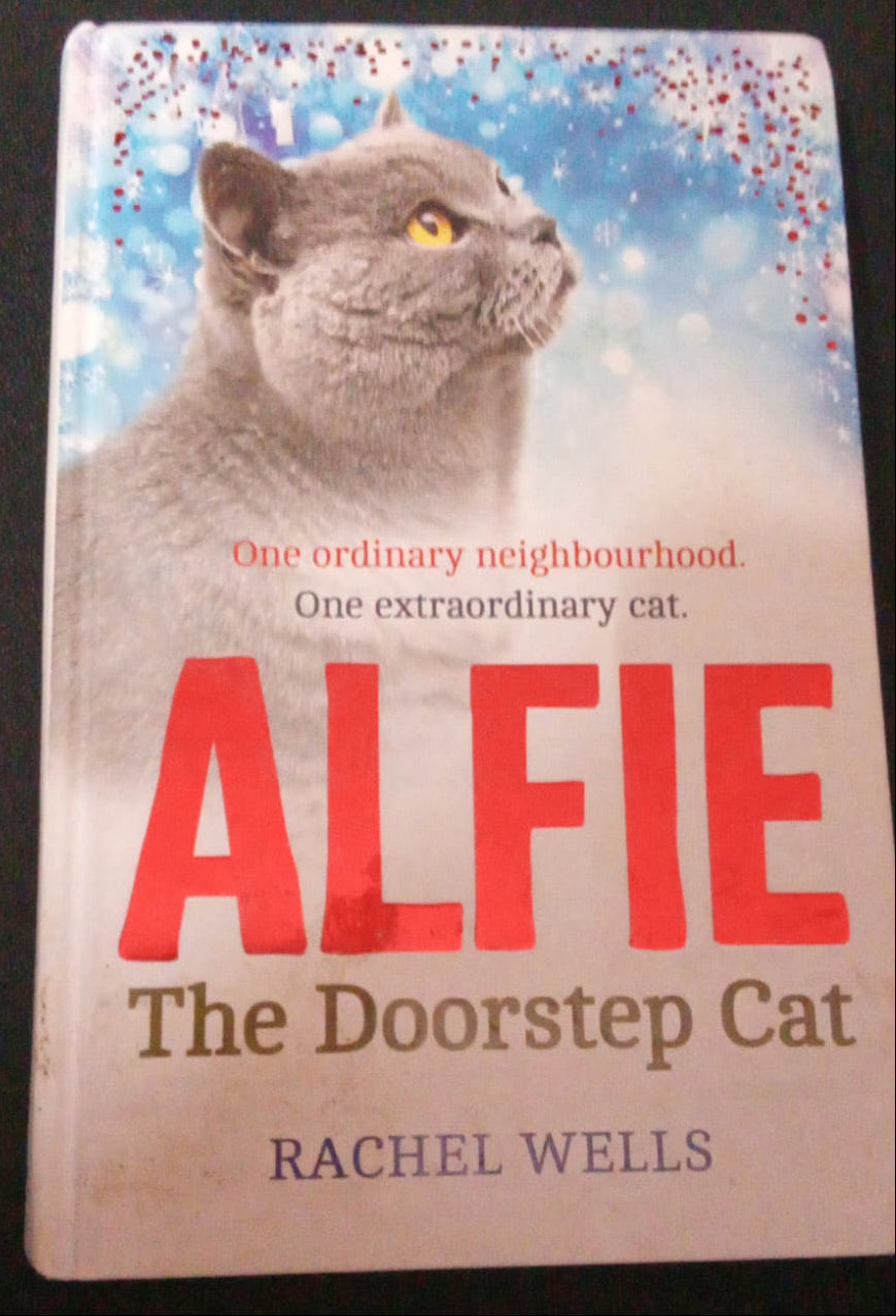 Preloved The Doorstep Cat  ALFIE