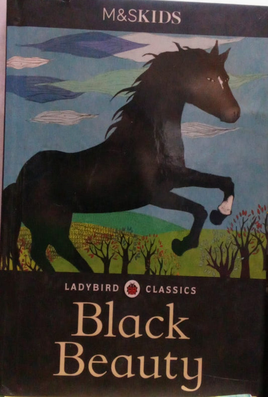 Preloved  Black Beauty