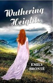 Wuthering Heights  (Paperback, Emily Bronte)